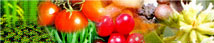 fruits